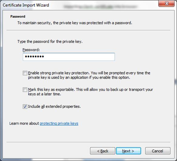 3. Specify the password and click Next.