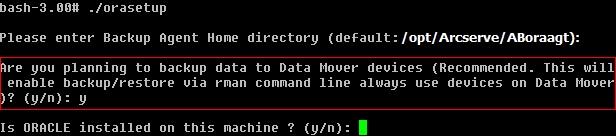/orasetup Note: The orasetup script is stored in the Agent for Oracle installation directory on the data mover server. 7.