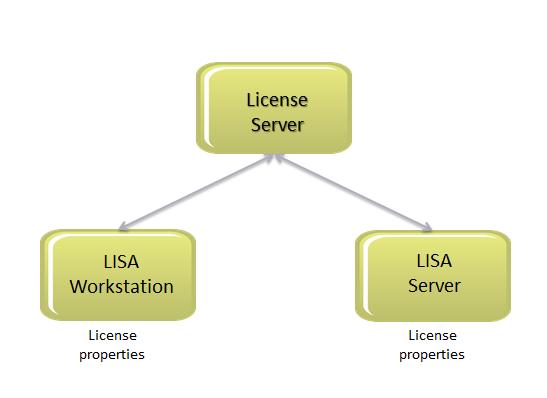 Licensing Approaches Server-Based Licensing With the server-based approach, LISA Workstation and LISA Server connect directly to the license server.