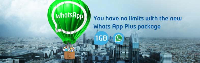 enable you to browse all WhatsApp external links up to 1GB
