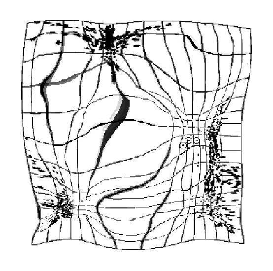 and t-gtm (right) The generated manifold is superimposed; it is represented as a grid whose knots are the model prototypes y k ; central row) Maps of MF values