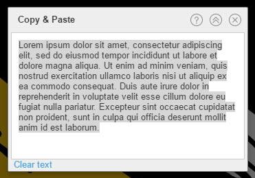 3. Paste (right-click then select Paste or CTRL+V) the desired text into the Copy & Paste panel.