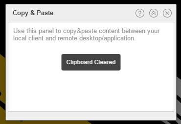 Figure 41 Clearing the clipboard in the Virtual Workspace (Web Browser) Pasting additional text requires clearing the Copy & Paste panel. 1.