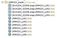 Move the mounted snapshot from the /AppSyncSnapshots folder to the folder where the production LUNs to be replaced reside.
