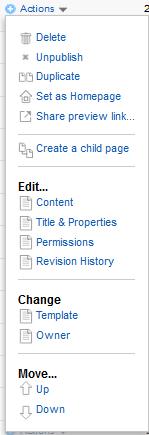 On the Pages screen, select the arrow located to the left of your group page. This will drop down a list of all the pages that currently make up the website. There are several options here.