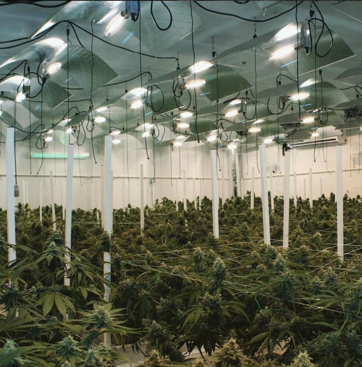 PROJECT EXPERIENCE New England Treatment Access (NETA) Cultivation & 2 Dispensary Facilities ABOUT THE CLIENT New England