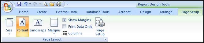 Arrange Ribbon: Same as in the Form Design Ribbon. Page Setup Ribbon: This ribbon provides you with many functions available in the Print Layout View Ribbon.