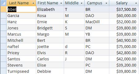 In this example, the names, campuses, and the salary of employees earning more than $0,000.00 is needed. 1. In Design View, type criterion in the Criteria section. e.g. Under Salary, type >0000.