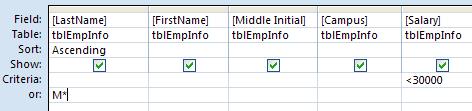 Type criterion in the Criteria section. Under Salary, type <0000. Do not type in the dollar sign or the decimal point.. Type the OR criterion. Under Last Name, type M* on a separate line.