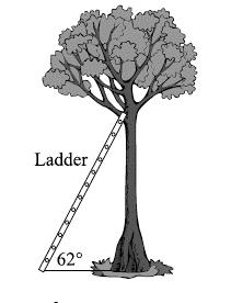 Unit 7 Review (cont) 19. A ladder is leaning against a tree and hits the tree at a point 15 feet above the ground. The ladder and the ground form a 62 angle.