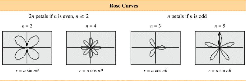 Rose Curves What do you notice about the number of petals when n is even and when n is odd?