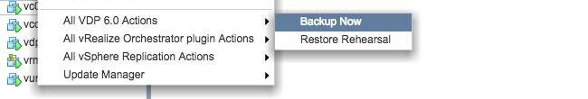 On the Backup tab, click Backup now and choose one of the two options from the menu. See Figure 5.