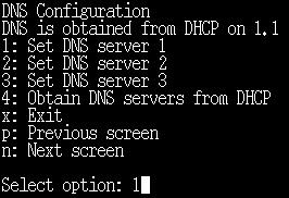 We have now completed networking configuration so enter n to move on. Since we're not using DHCP, we need to manually configure a DNS server. Enter 1 to set DNS server 1.