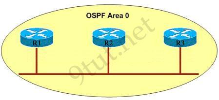 CCNA OSPF Questions 2 http://www.9tut.com/new-ccna-ospf-questions-2 Question 1 Why R1 can t establish an OSPF neighbor relationship with R3 according to the following graphic?