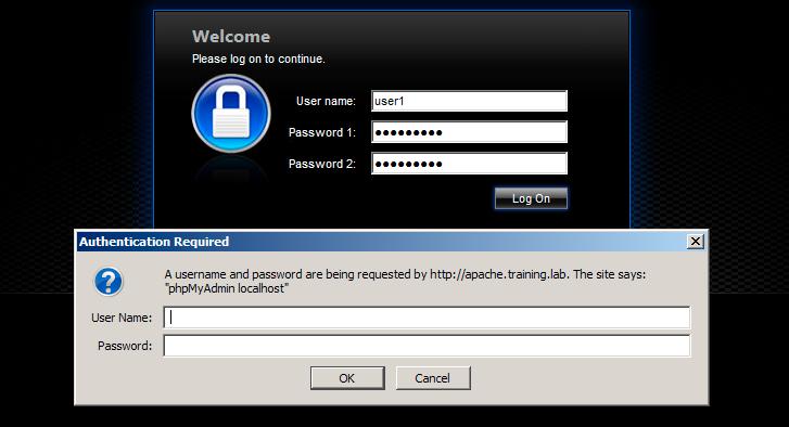 Enter the following credentials: Username: user1 Password 1: Citrix123 Password 2: Citrix123 Click Log On.