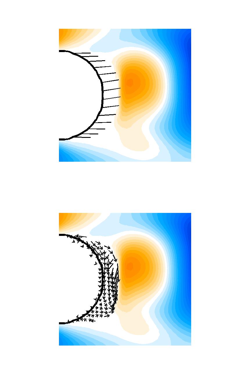 Physical mechanism Contours of vertical velocity Movements of reference cilia