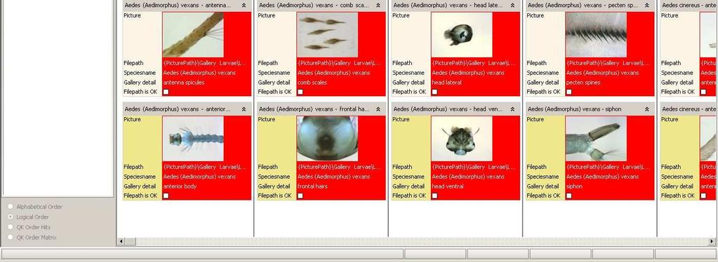 To test the correctness of the image path, start the Eutaxa Software and open the sub-application "Gallery (of any group).