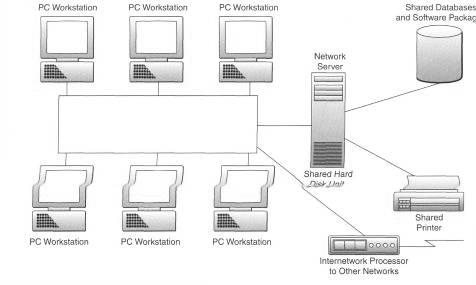A local area network (LAN). Note how the LAN allows users to share hardware, software, and data resources.