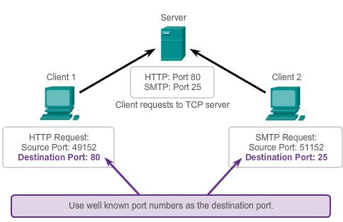 TCP Server Processes Well-known ports are used