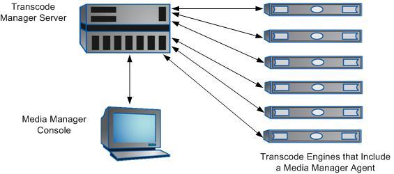 Media Manager Console, the user interface for Transcode Manager Watch folders, into which files are placed for transcoding Agents, which run on each hardware server Engines, which are units of