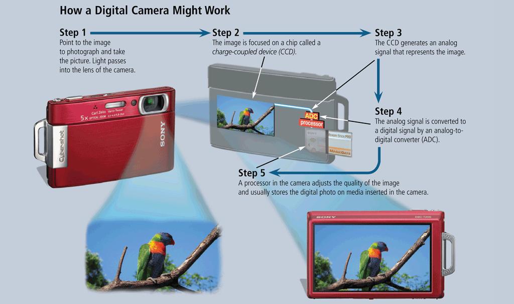 Digital Cameras