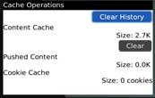 Then, from the Options menu, select Cache Operations and click on Clear History to empty the browser cache.