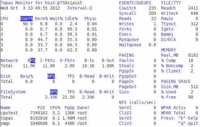 Figure 5-5 Single process - Topas detailed processor statistics Notice that topas reports CPU0 running at 90.9% in the User% column and only 2.4% in the Idle% column.