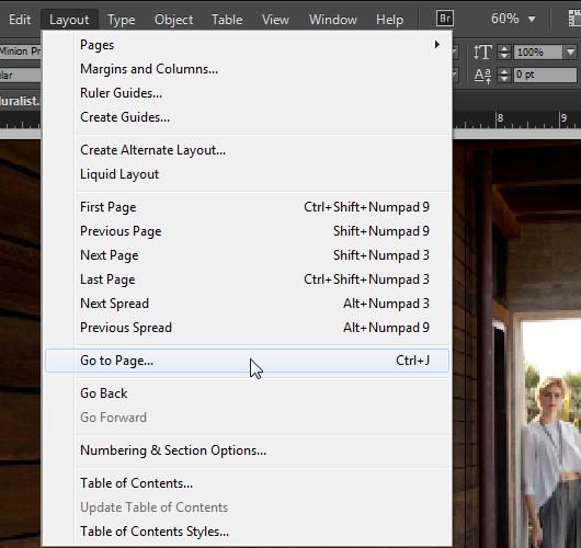 This panel lists document layout templates in the top section and actual pages in the lower section. To choose a page in your document, double-click the page icon in the lower section.