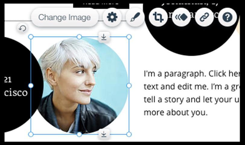 Step 5 Choose your new image Use the tabs My Images, Social Images, Free from Wix and Bickstock Images () to find the library of images you wish to use and then select the image you wish to use.