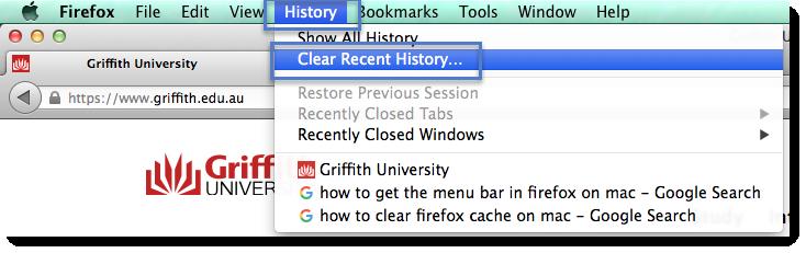 Mozilla Firefox Using Firefox version 51, click on History Menu and click Clear Recent History or press