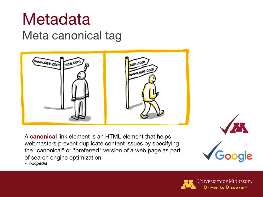 So, now I want to talk a little bit about the canonical tag in metadata. A canonical tag references your canonical URL. A canonical URL is the main web address for your site.
