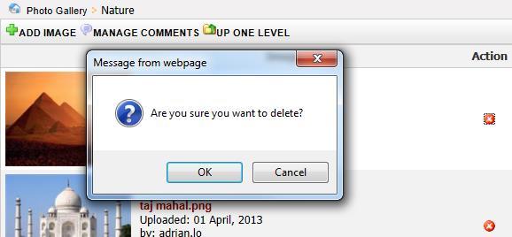 How to Delete a Picture To delete an image, click Manage Images and then click the delete.