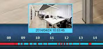 Intelligent Video Analytics (IVA) Real-time watermarking Preview recordings