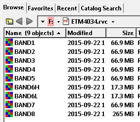 You can add an object or file to the Favorites list from either the Browse or Recent tabbed panel.