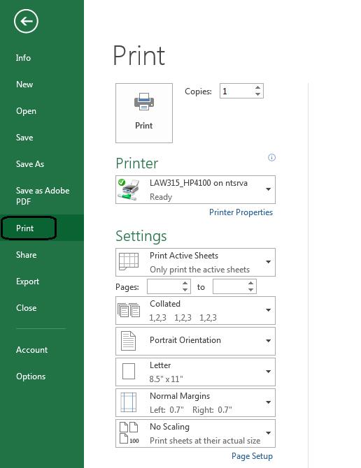 Excel Workshop Unit 1 Getting Started with Excel 2013 Topic 8 Printing the Workbook 1. Select the File Tab in the top left corner. 2. Select Print from the drop down menu. 3.