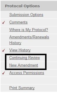 New Amendment Please note that only 1 Amendment or Continuing Review can be submitted at a time.