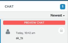 action, as shown below: Accepting and Locking the Preview Chat Offer You may accept or reject the preview.