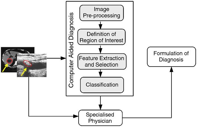 Δ Goals of medical image analysis techniques: Quantification: Measuring the features on medical images, eg., helpng radiologist obtain measurements from medical images (e.g., area or volume).