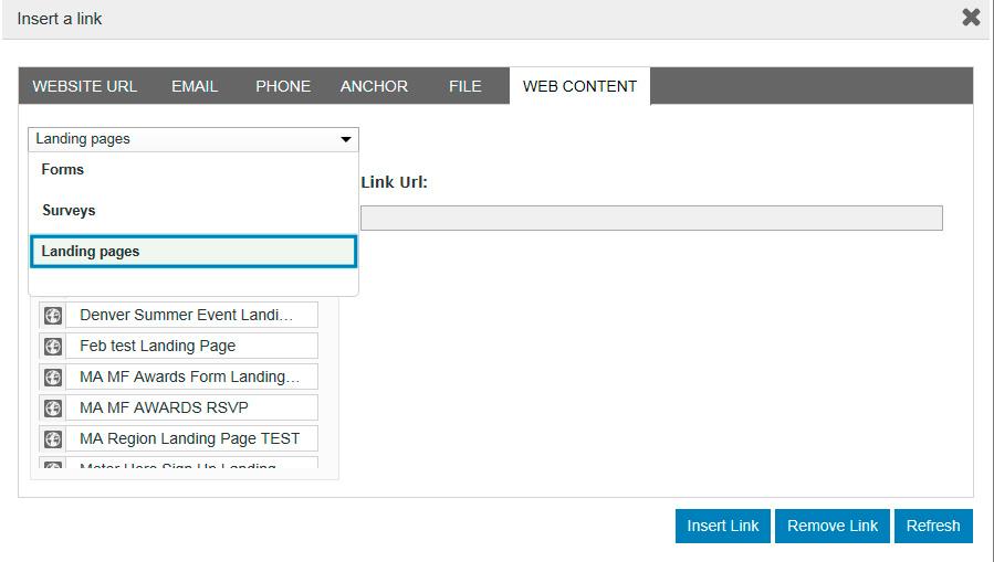 Your form should now be visible in the landing page. Save and Close the editor window. Now Publish the landing page in the main Landing Page window.