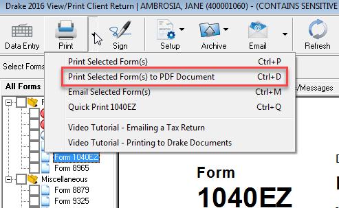 10 o From the Archive button in View/Print mode, go to Archive > Document Manager to open the DDM.