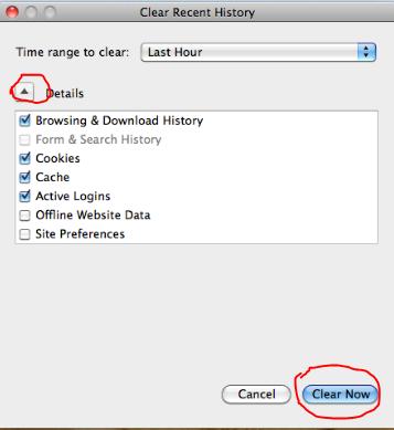 3. Click the down arrow next to Details to choose what history elements