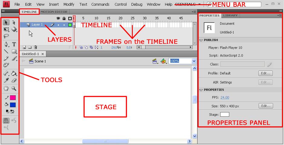 the TIMELINE: just below the main menu, which is what you use to control your Flash movies/animations (i.e. how your graphics change over time).