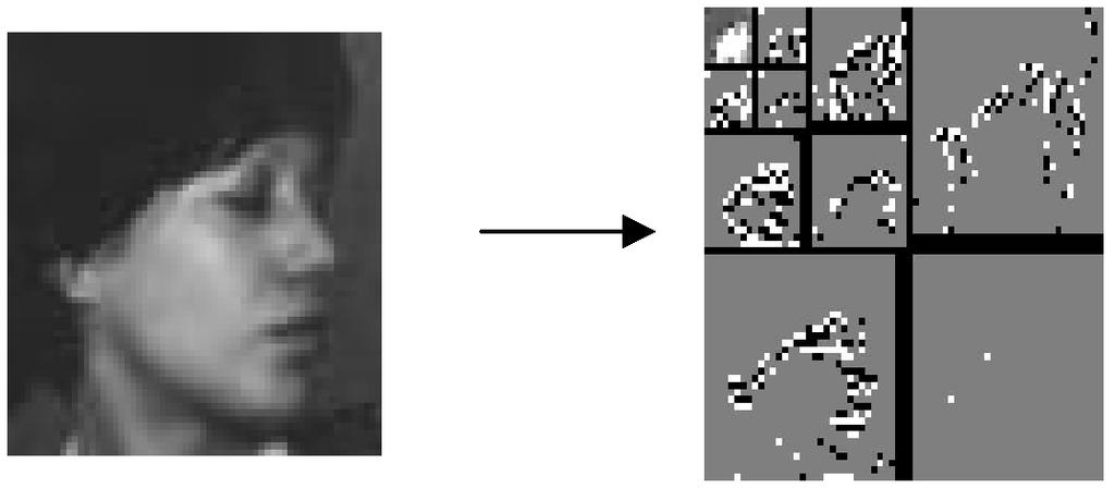 Example: Face Detection Input Wavelet