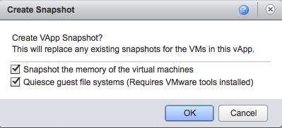While the vapp is running, vcloud Director can take a snapshot of its memory or quiesce its file system. Quiescing the file system requires VMware Tools in both virtual machines.