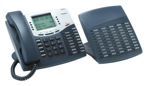 Model 8450 Transform an endpoint into a call distribution center.
