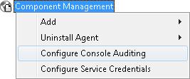 Figure 116: Console Auditing is not configured You have to perform the following steps to