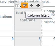 Filtering columns To filter the report based