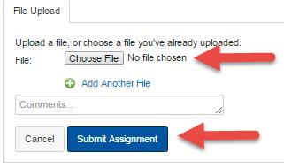 Assignments: Under the Course Homepage, students can view the course Assignments under the Courses.