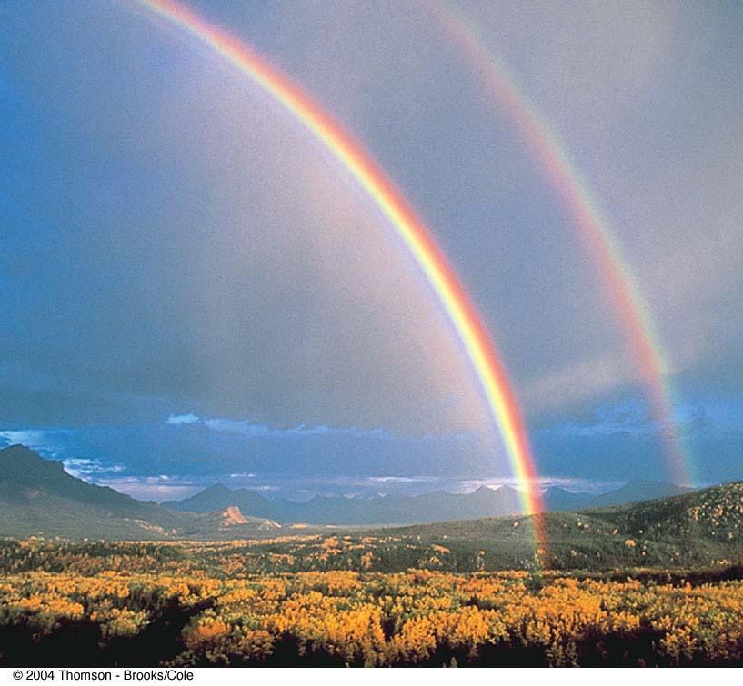 Double Rainbow The secondary rainbow is fainter than the primary The secondary rainbow arises from light that makes two