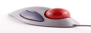 Generally it has two buttons called left and right button.mouse can be used to control the position of cursor on screen, but it cannot be used to enter text into the computer.